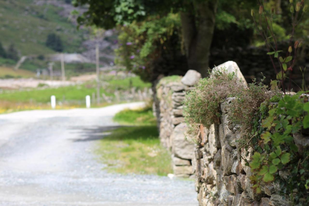 Riversdale House Room Only Accommodation, A98Kd85 Brockagh 外观 照片